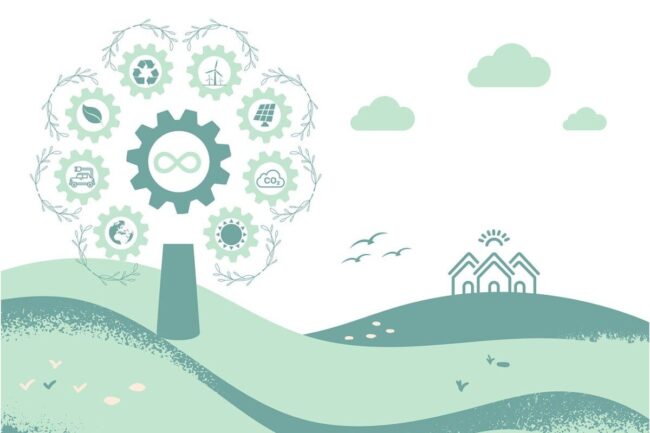 Illustration d'un arbre représentant les différents services d'investissement durable